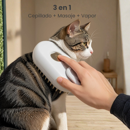 Cepillo de Vapor 3 en 1 Rikanto